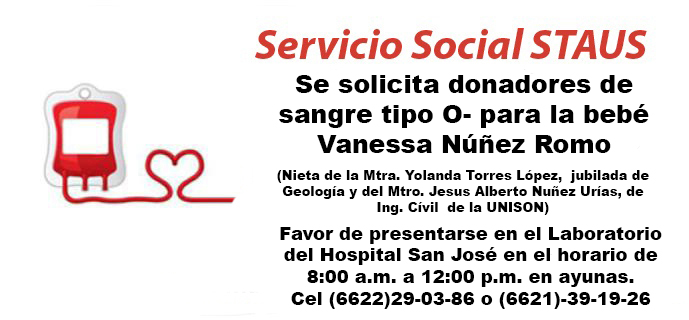 Servicio Social