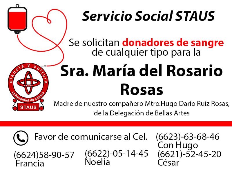 Servicio Social