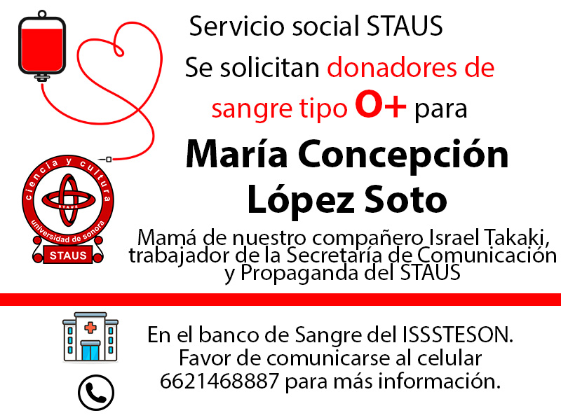 Servicio Social