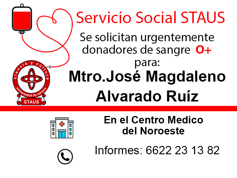 Servicio Social