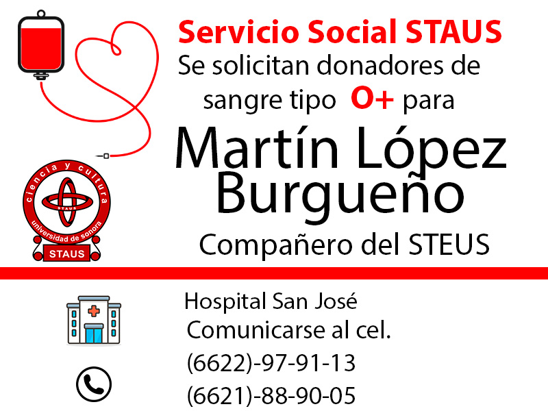 Servicio Social