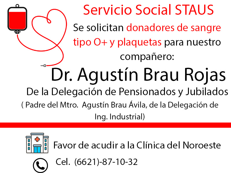 Servicio Social