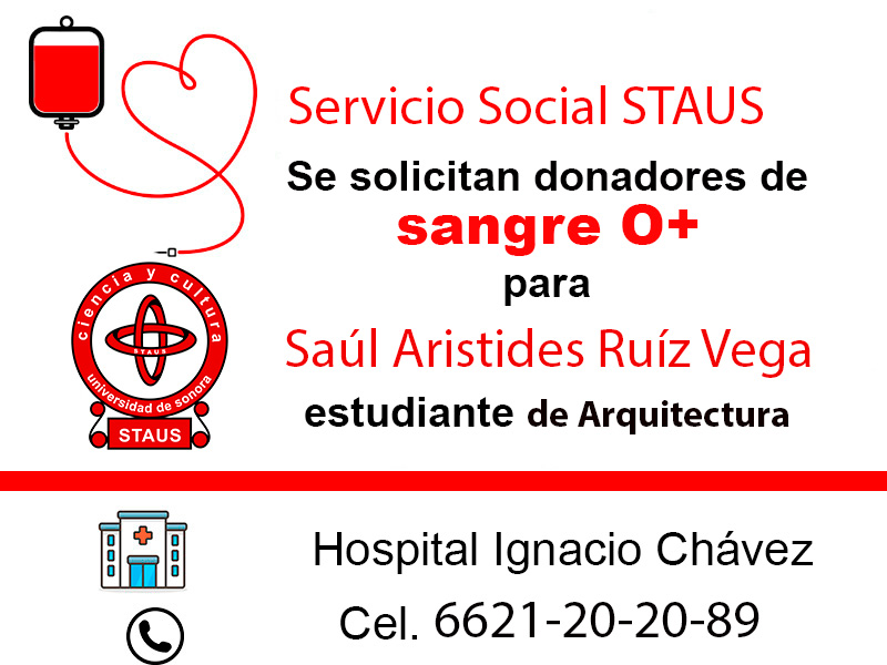 Servicio Social
