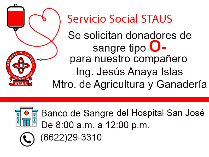 Servicio Social