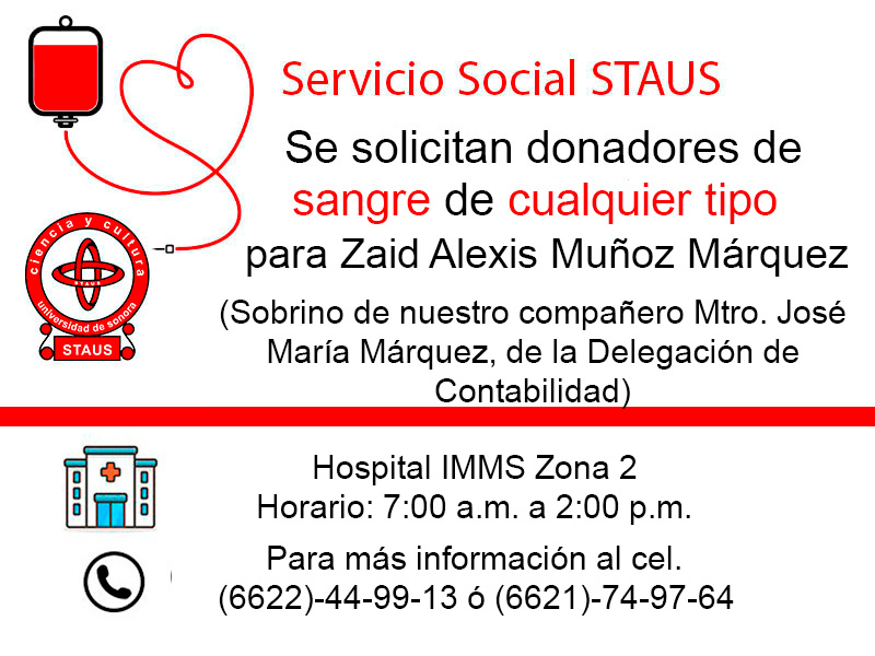 Servicio Social