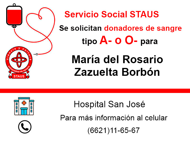 Servicio Social