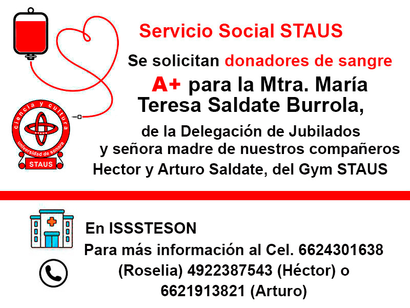 Servicio Social