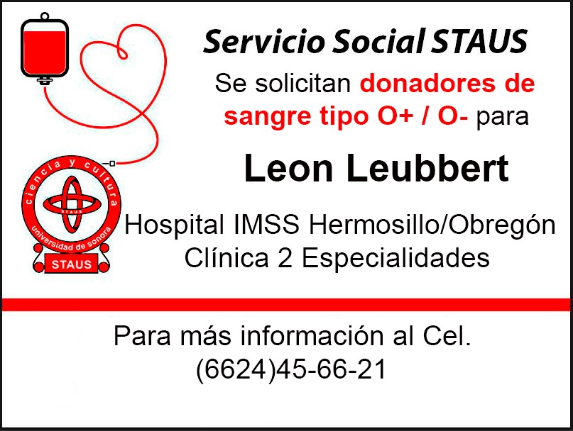 Servicio Social