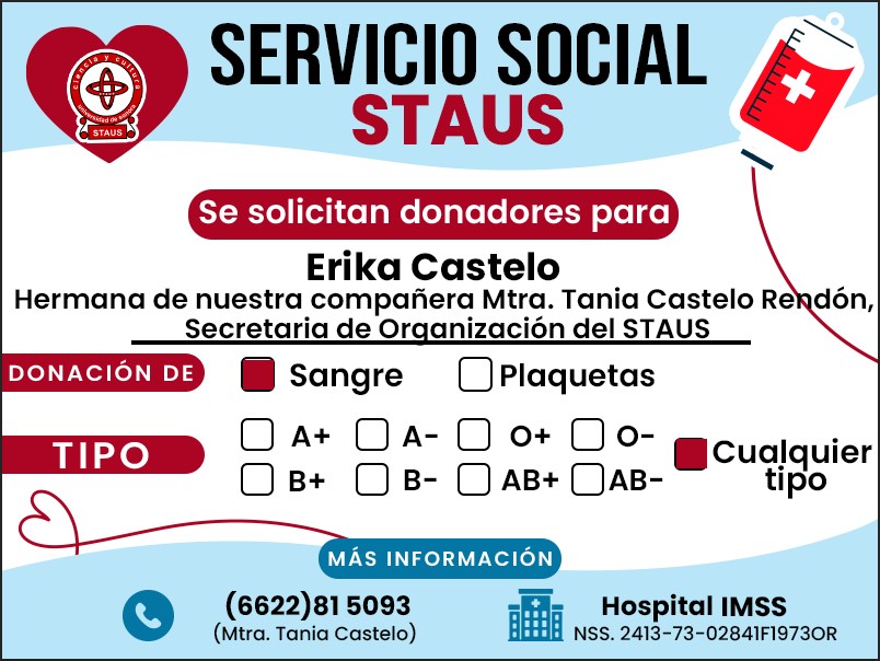 Servicio Social